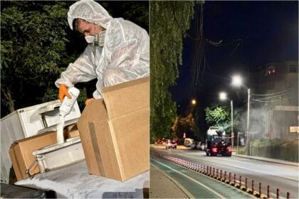 Dezinsecție Pitești