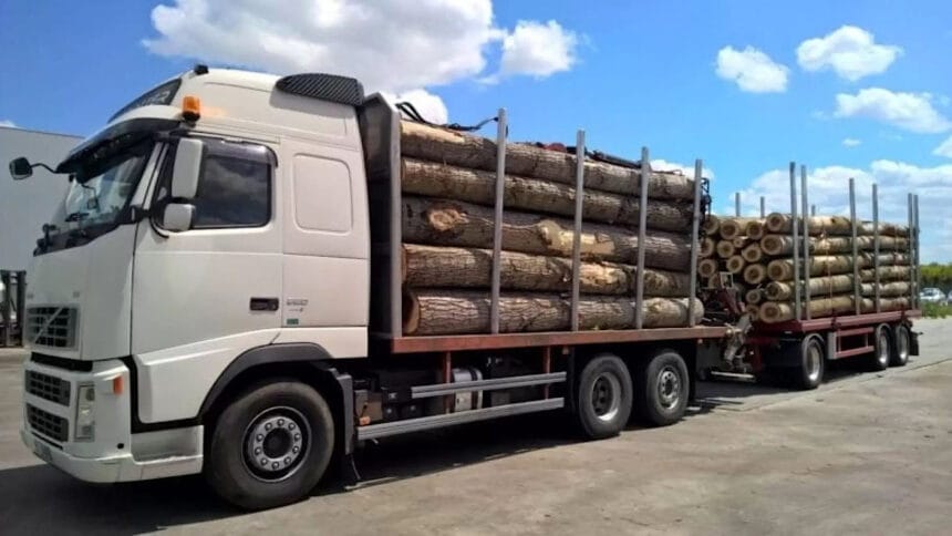 Controale masive în Argeș: peste 350 de metri cubi de lemn confiscați în 24 de ore